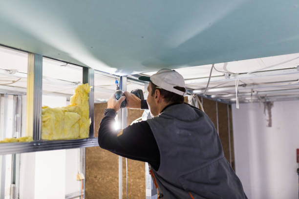 Types of Insulation We Offer in Winchester, MO